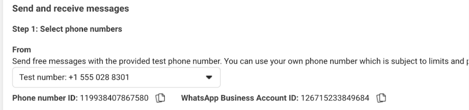 Create an app on the Meta portal.